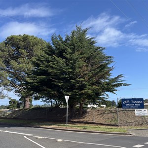 Abel Tasman Caravan Park, East Devonport