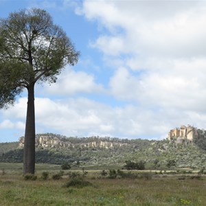 Scene at park entrance