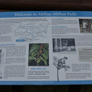 Millaa Millaa Falls