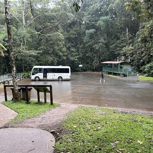 Millaa Millaa Falls