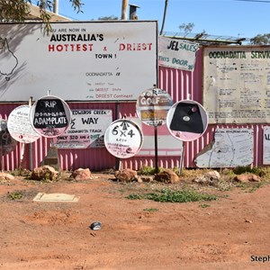 Pink Roadhouse