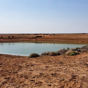 Bloods Creek Dam