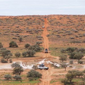 Georgina Gidgee Interdunes