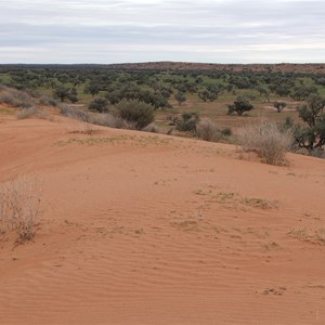 Georgina Gidgee Interdunes