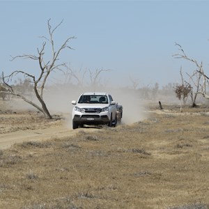 White floodplain dust