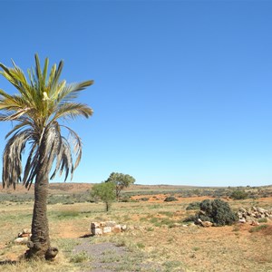 kanyaka homestead