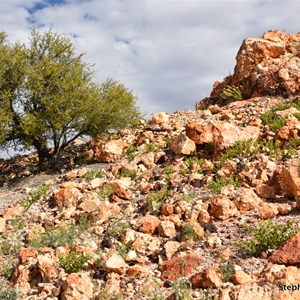 The Painted Desert 