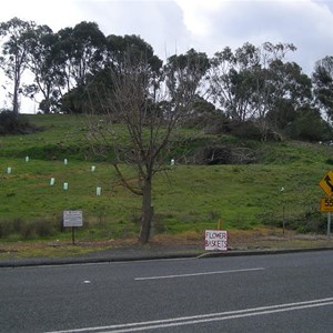 Old Site