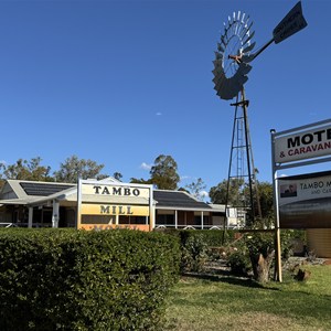 Tambo