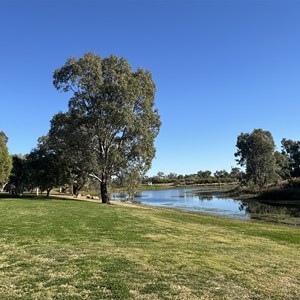Tambo