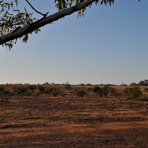 Clayton Wetlands