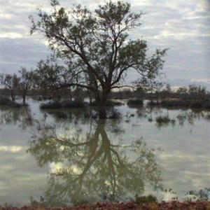 Birdsville Track