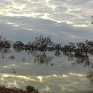 Birdsville Track