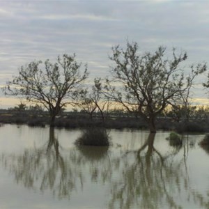 Birdsville Track