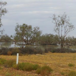 Birdsville Track