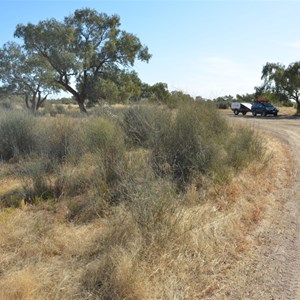 Cooper Creek, Birdsville Tk