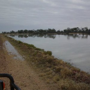 Birdsville Track