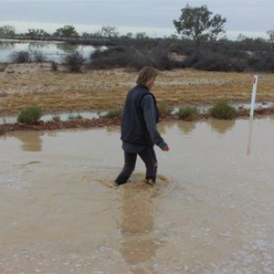 Birdsville Track