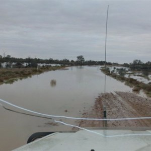 Birdsville Track