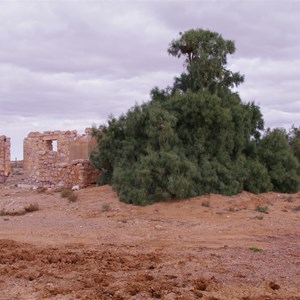 Lake Harry Ruins