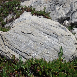 Sparkling schist sample
