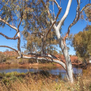View of pool from walk track around the side