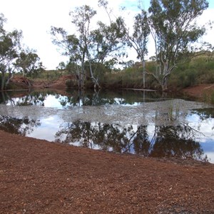 Eagle Rock Pool