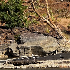 Old Victoria River Crossing