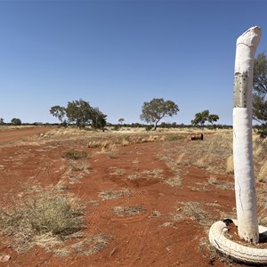 Desert Road - Kiwirrkurra Road, WA-NT Border