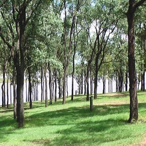 Tent sites tiered towards the lake