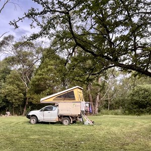 Henry Angel Camping