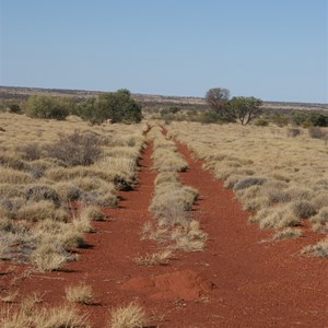Talawana heading south across the Connolly Basin