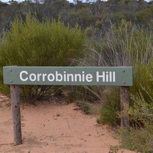 Corrobinnie Hill