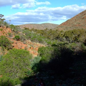 The Organ Pipes. Gawler Ranges