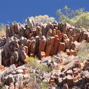 Organ Pipes