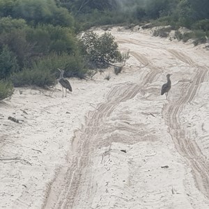 Chinamans Well Track South Wyperfeld Wilderness Area (National Park)