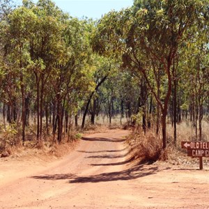 The start of the Telegraph Track