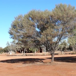 Gemtree Caravan Park 2007