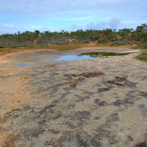 Goog's Track Water Hole