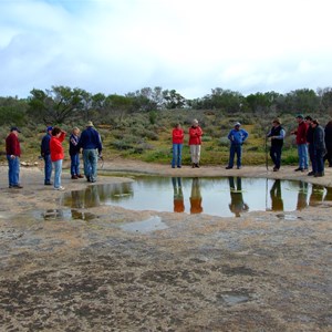 Goog's Track Water Hole