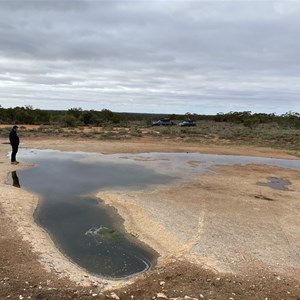 Goog's Track Water Hole