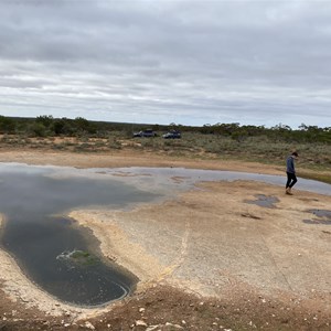 Goog's Track Water Hole