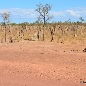 Burketown Rd & Savannah Way