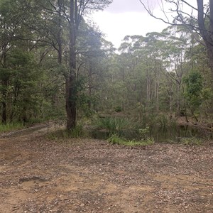 Stoney Ridge Picnic Area