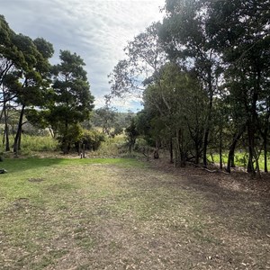 Aire River East Campground
