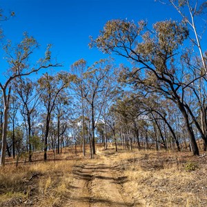 Starkvale Creek Campground