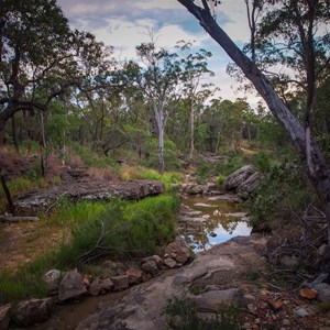 Starkvale Creek Campground