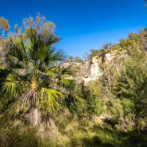 Starkvale Creek Campground