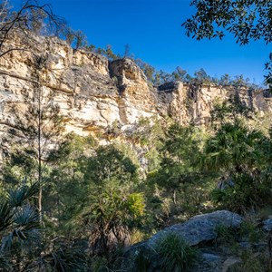 Starkvale Creek Campground