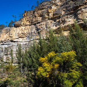 Starkvale Creek Campground